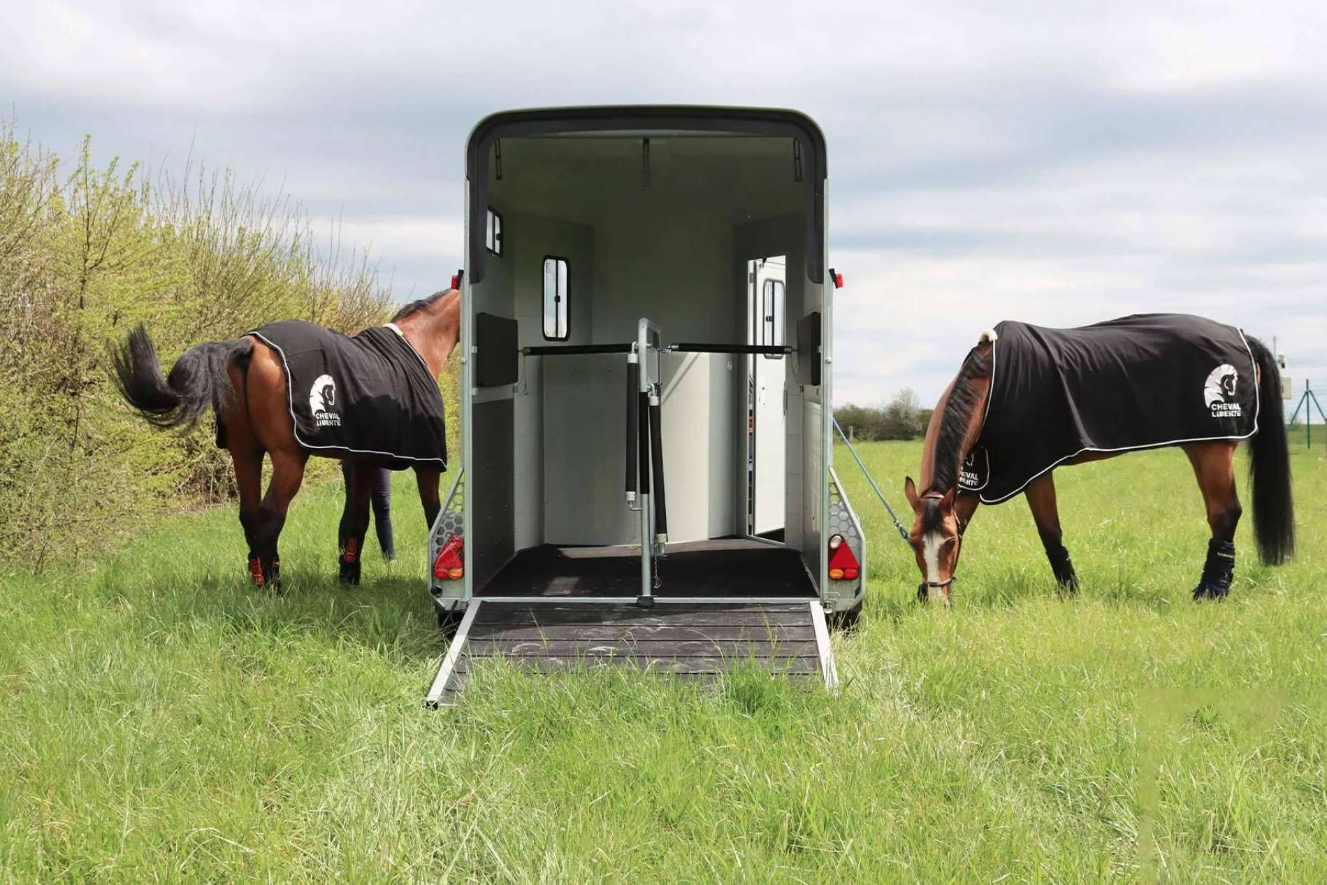 Transportar los caballos con seguridad con los remolques Cheval Liberté de Equus Life