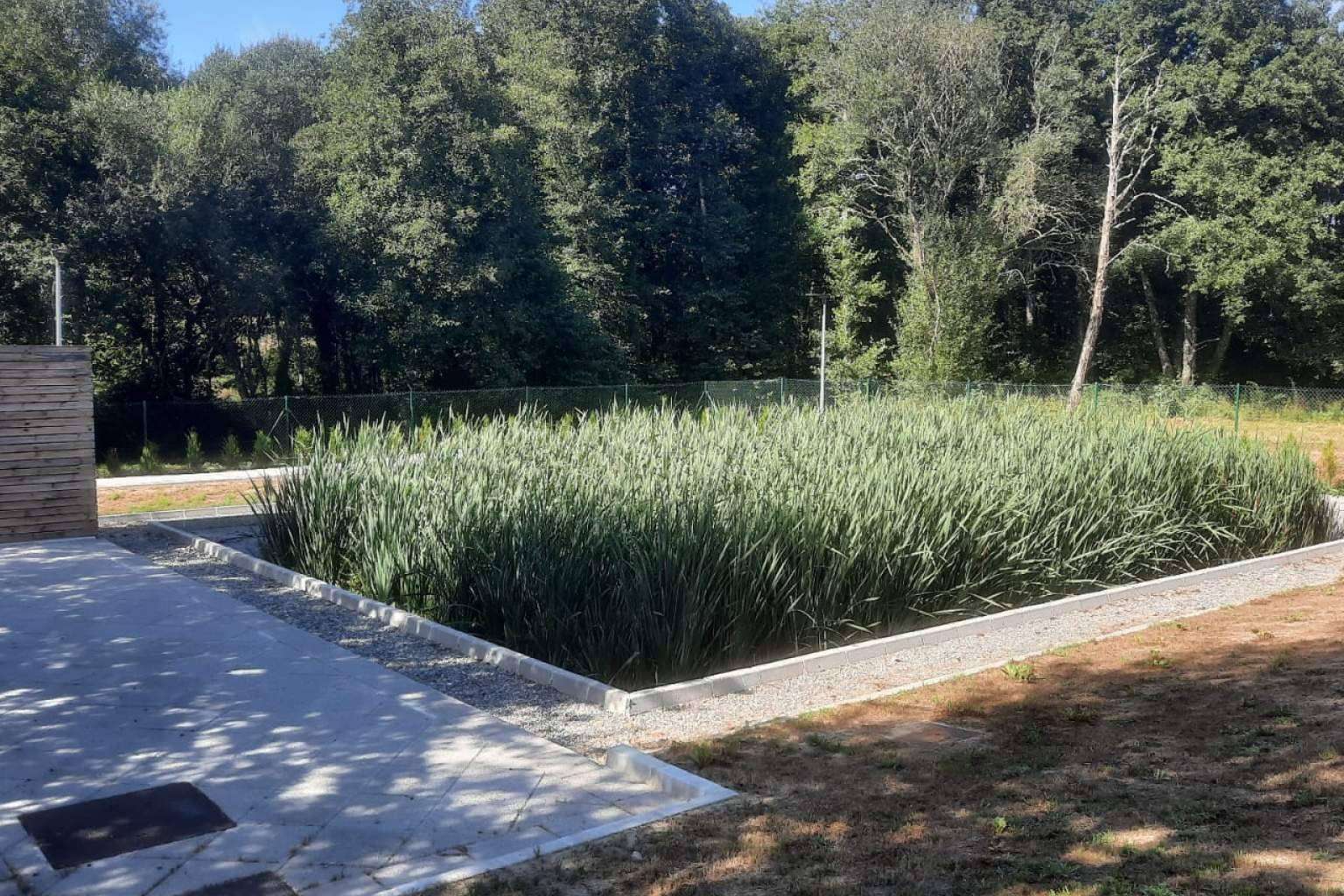 GoldProjects; los humedales como técnica medioambiental de reciclaje de aguas residuales