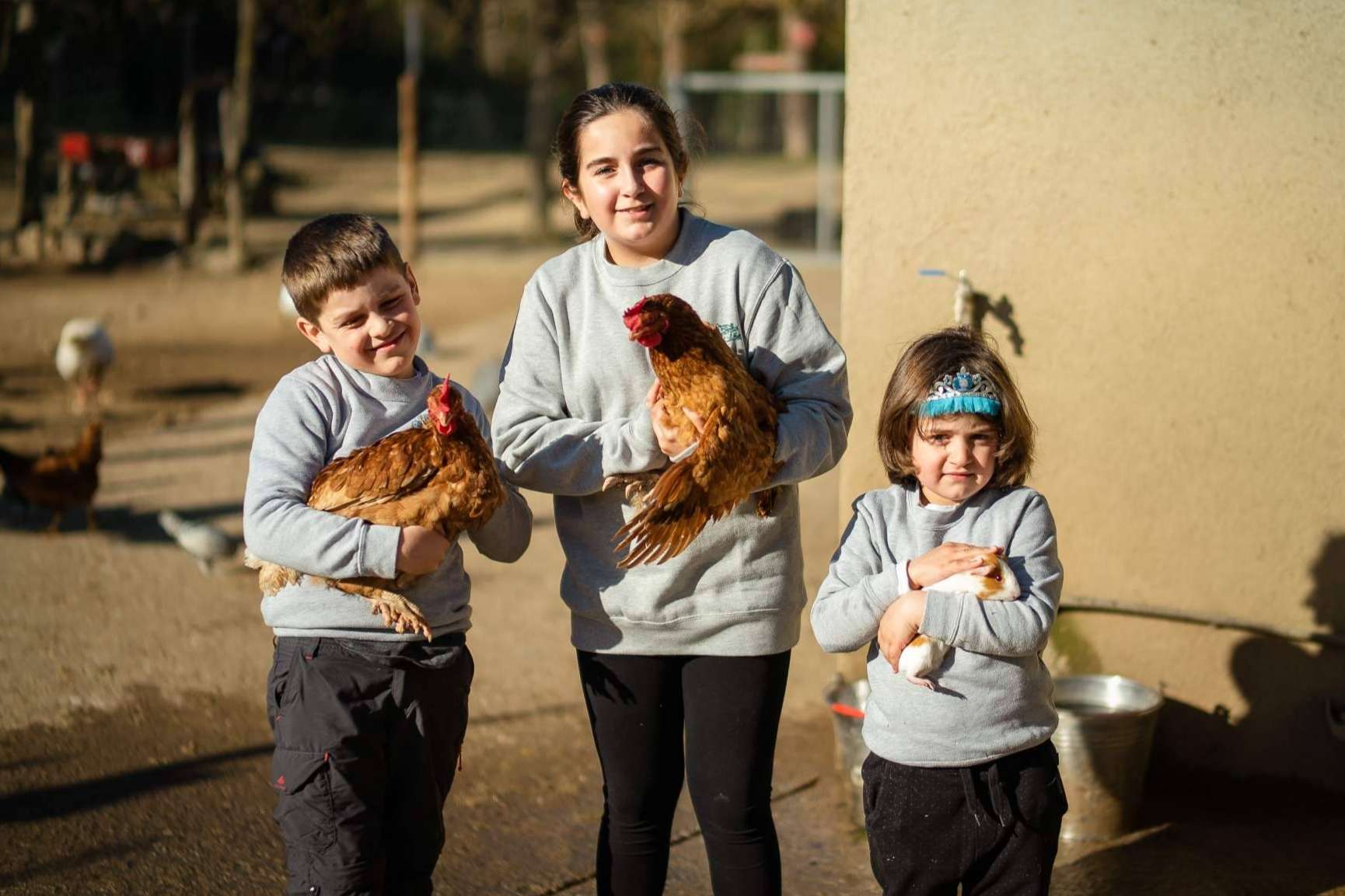 Las familias y escuelas que quieren visitar una granja cerca de Barcelona encuentran en Can Plana una opción ideal