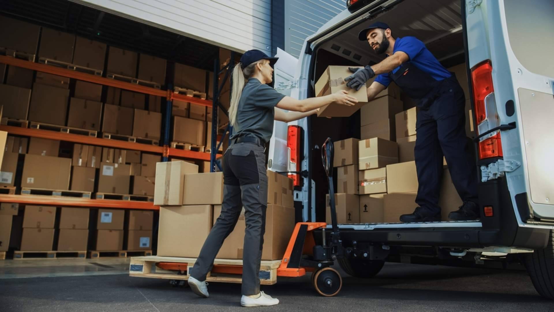 Wisse Moving, especialistas en mudanzas internacionales