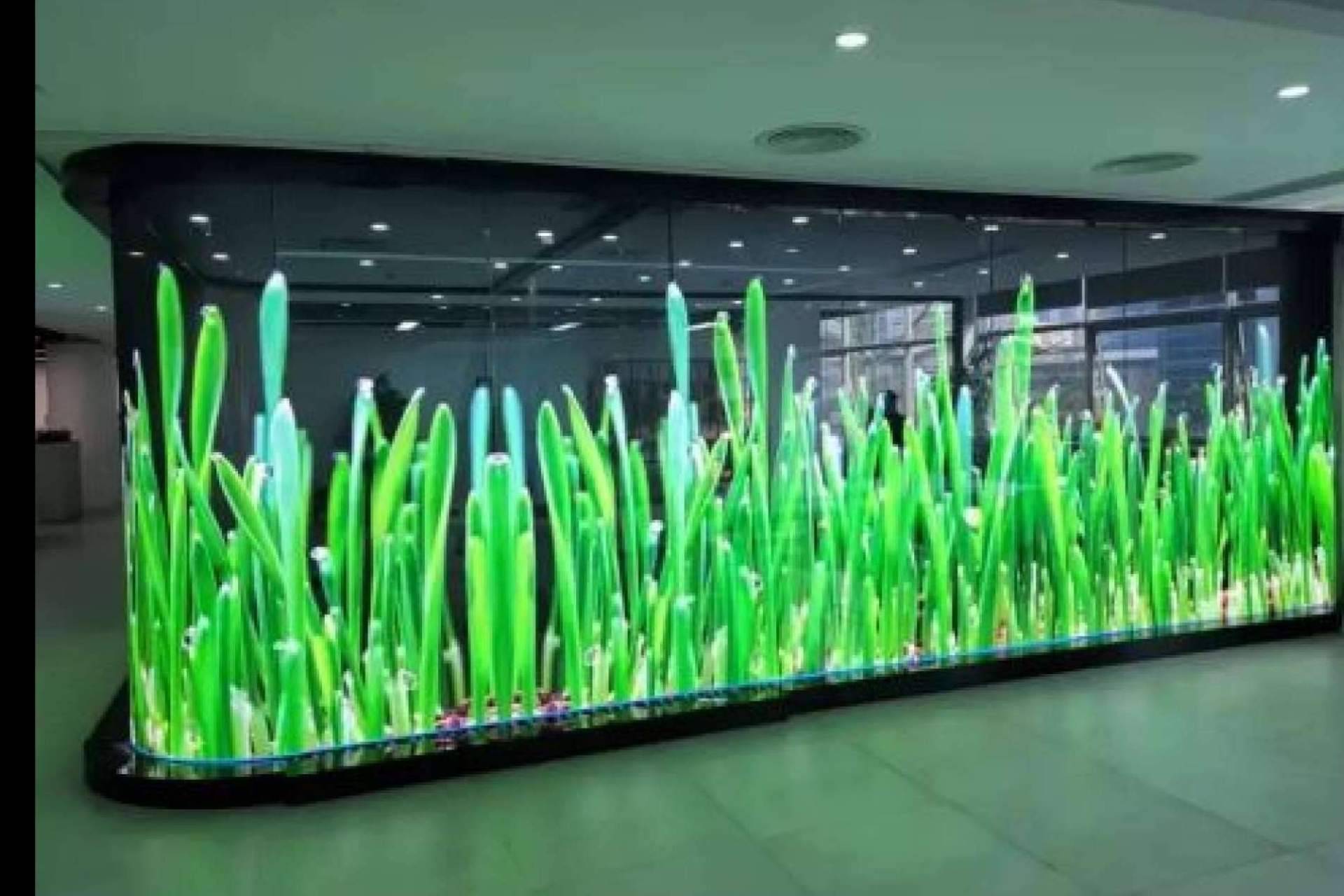 New Tech Store brinda soluciones innovadoras para hologramas y señalización digital