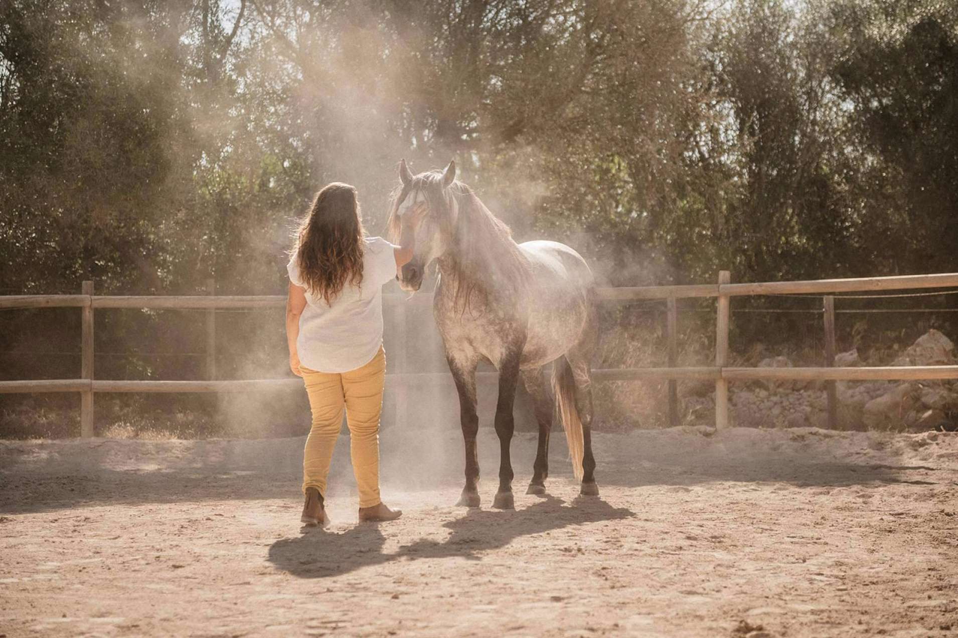 Son Cavalls, desarrollo personal a medida