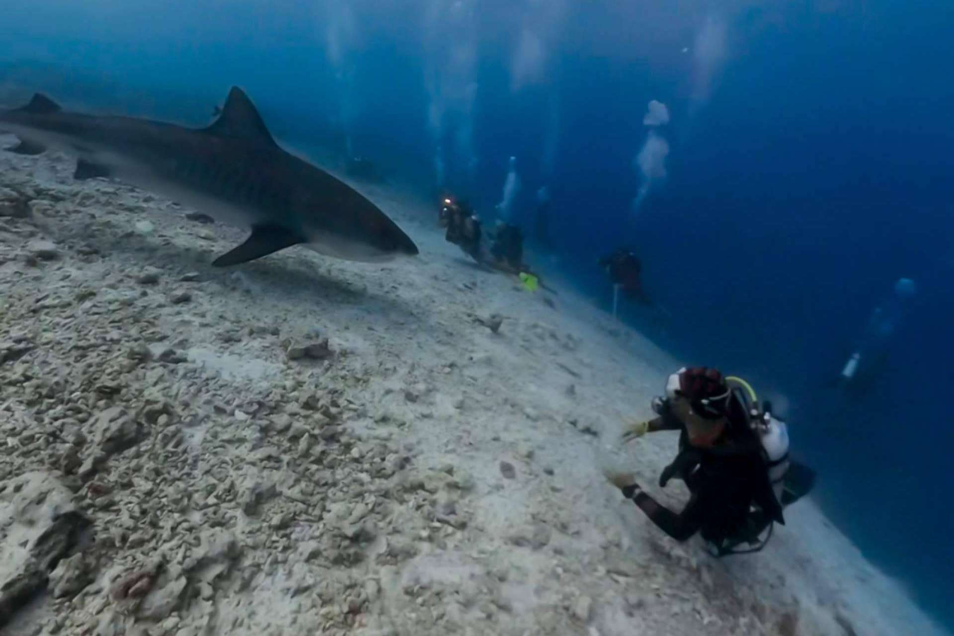 Drop Dive Maldives ha abierto un nuevo centro de buceo en Fuvahmulah