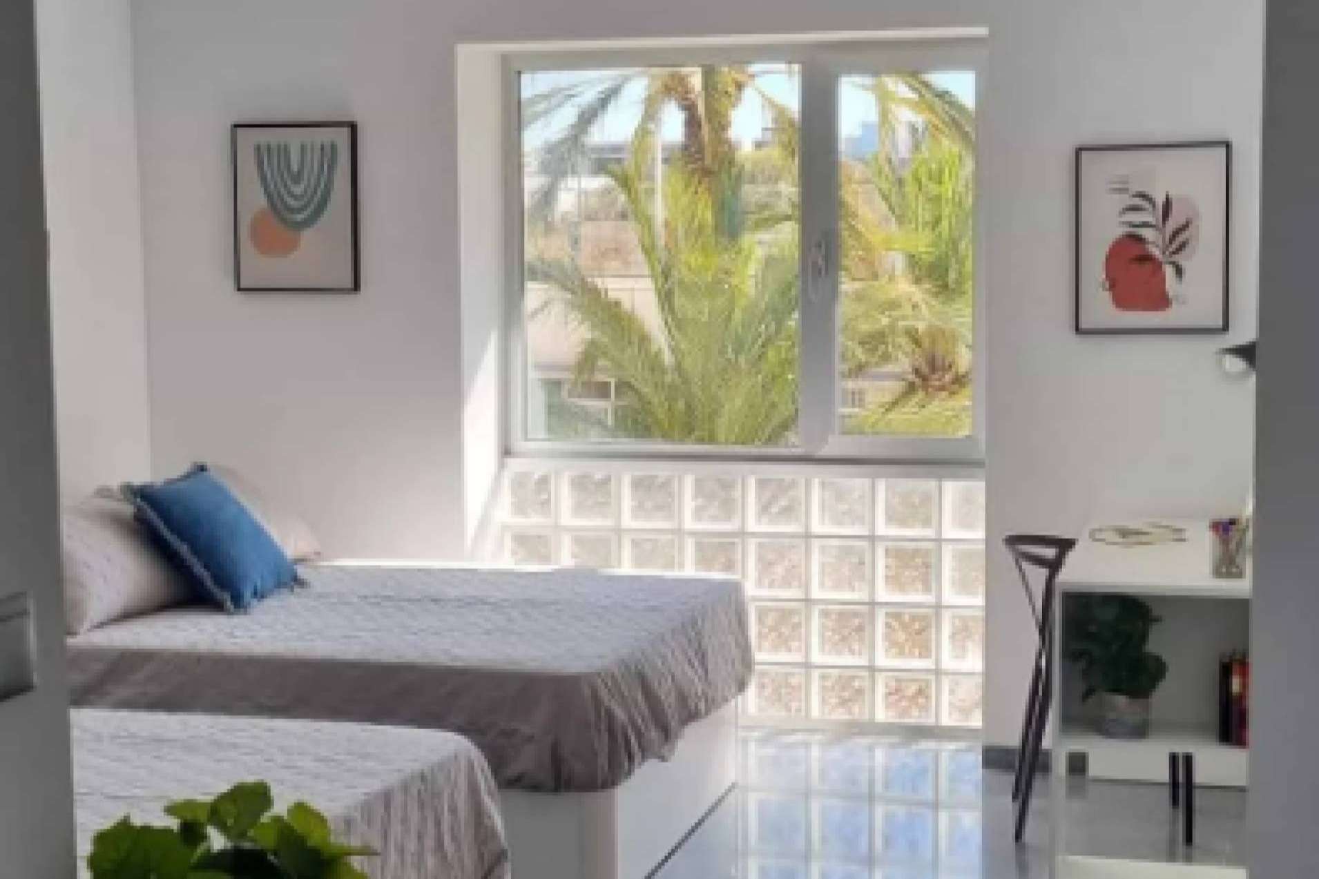 La oferta de residencias de estudiantes en Elche de Elighall