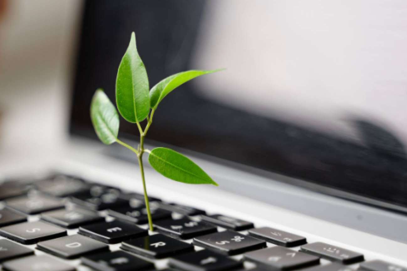 Firma digital y su relevancia en el cuidado del medioambiente