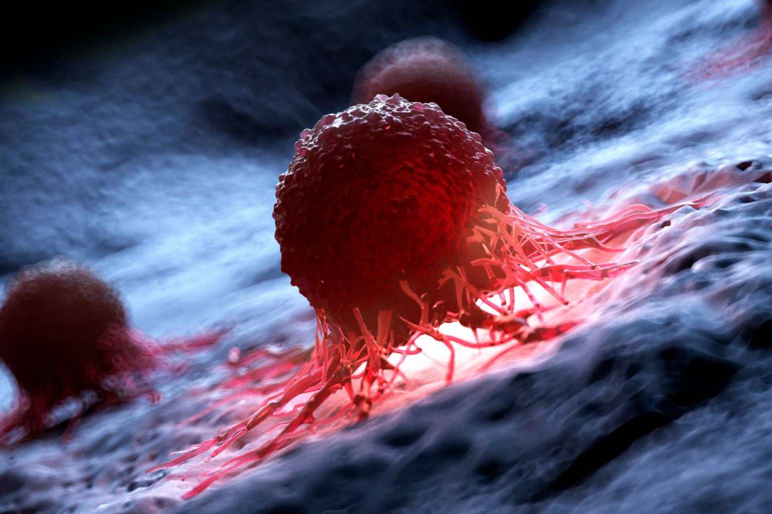 Revolución en Oncología; la Reprogramación FicuVIR