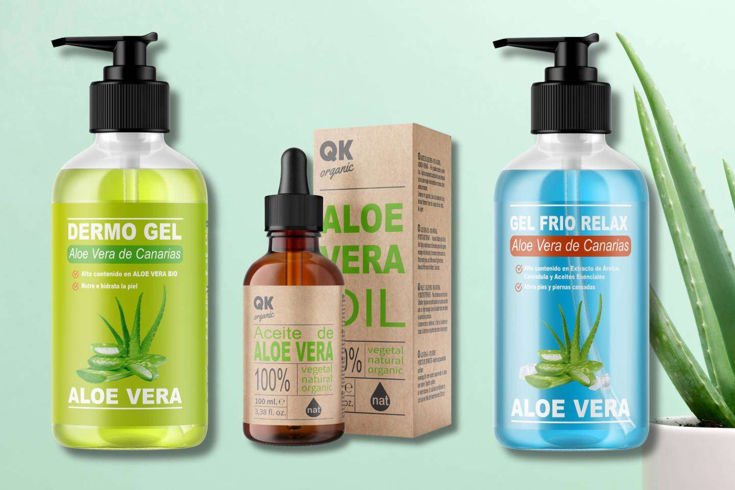 El aloe vera en cosmética y sus propiedades, según QKnatur