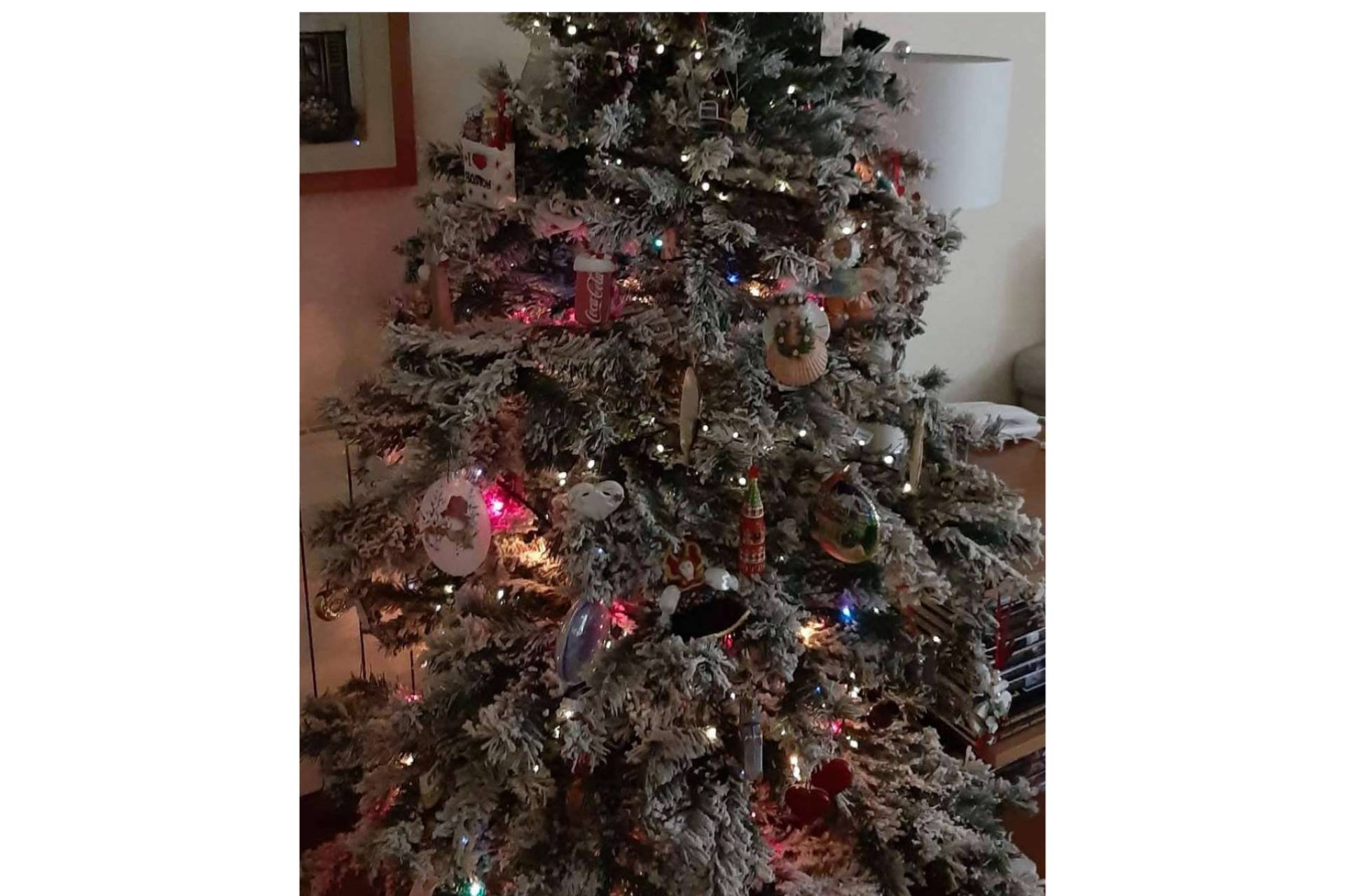 Navidad, cuentos y comunidad, xmastreefriends crea un espacio infantil para pequeños apasionados del árbol navideño