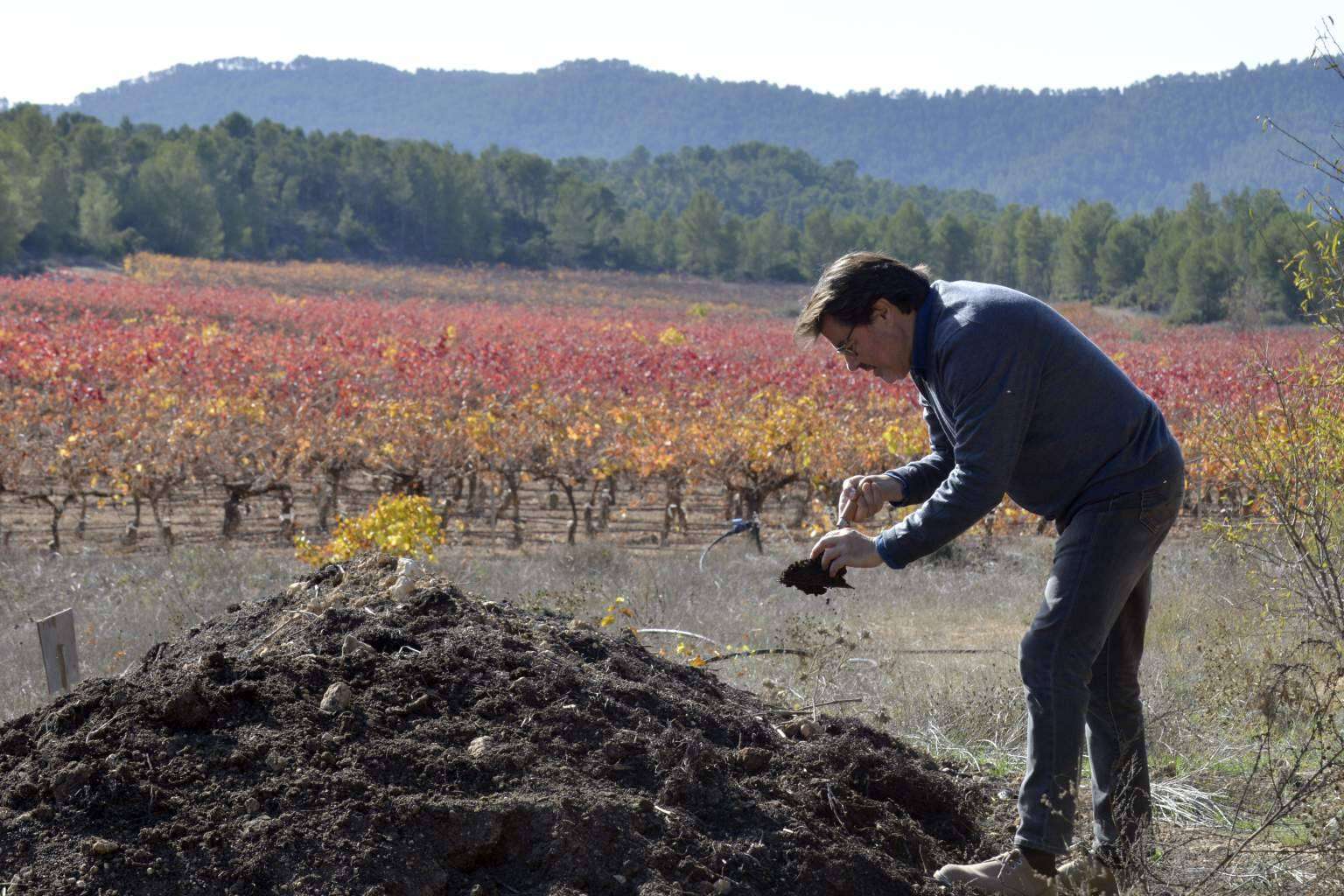 Vegalfaro, vinos con un fuerte compromiso con la agricultura ecológica