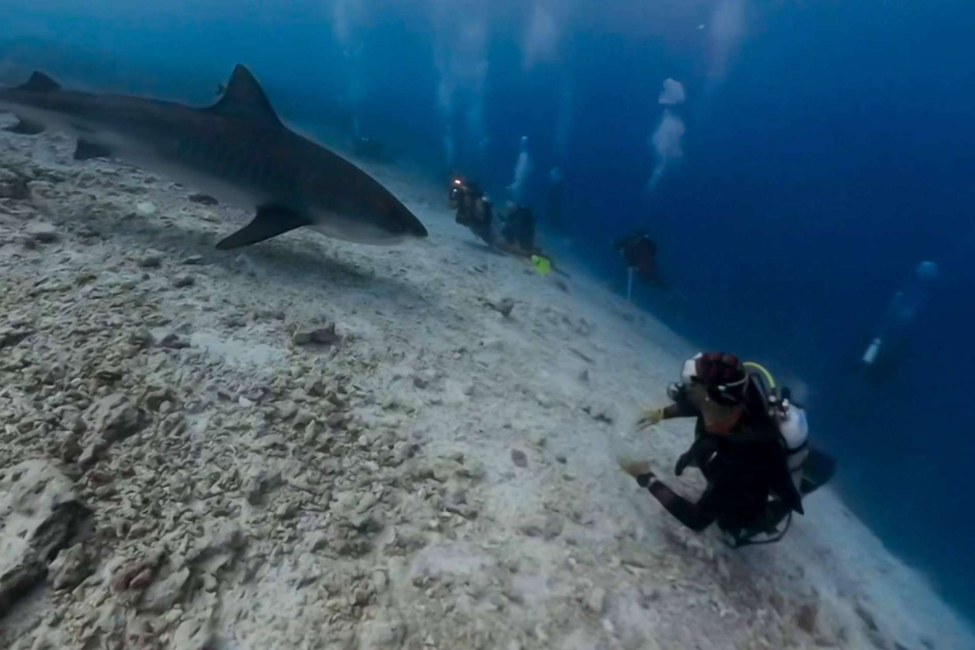 Rasdhoo y Fuvahmulah, un paraíso para buceadores en Maldivas