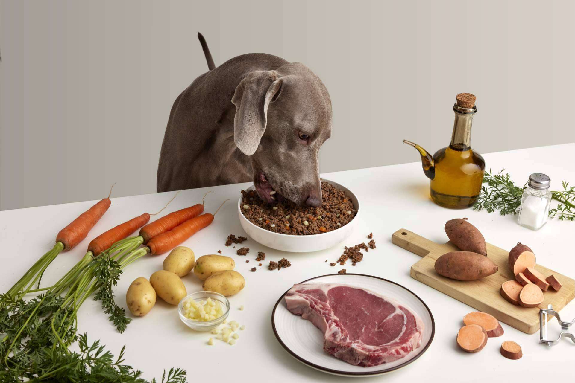 Dogfy Diet, la solución en comida natural para perros en España respaldada por expertos