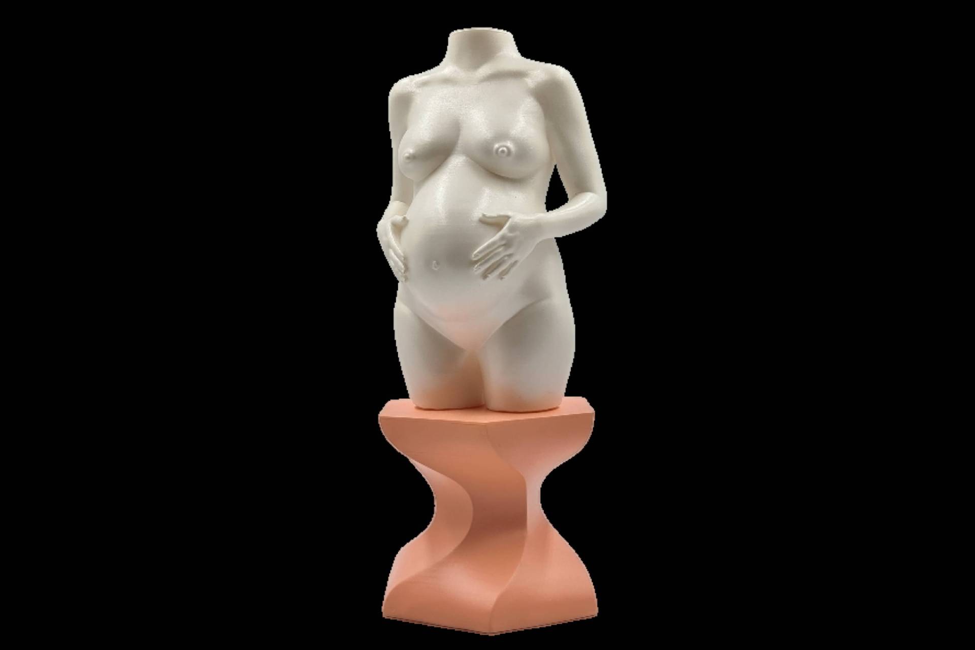Arte y personalización, BustosPersonalizados ofrece esculturas únicas y servicios conmemorativos en 3D