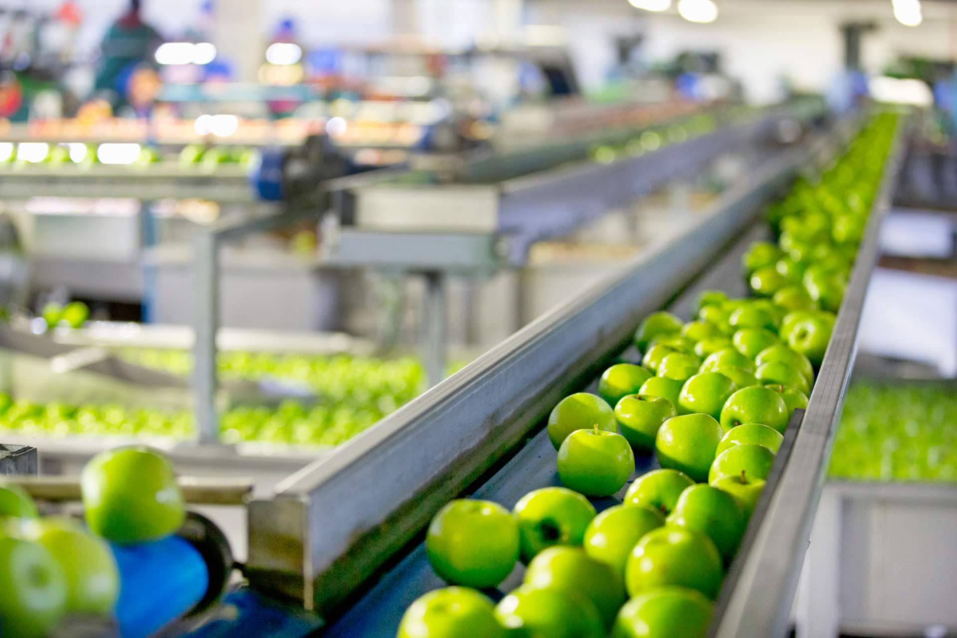 La excelencia de Baor Products en concentrados de frutas en España
