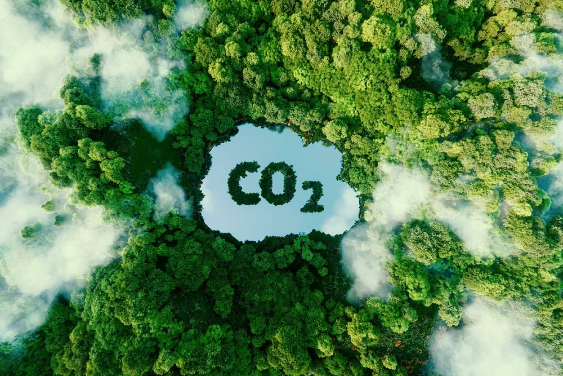 Viajar con menos impacto, la huella de carbono en el turismo y cómo compensarla