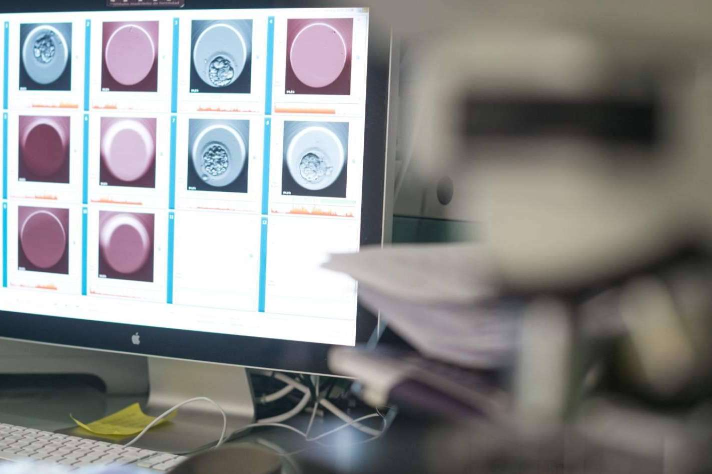 IMF Easyfiv, más accesibilidad y excelencia en reproducción asistida tras la fusión de dos clínicas