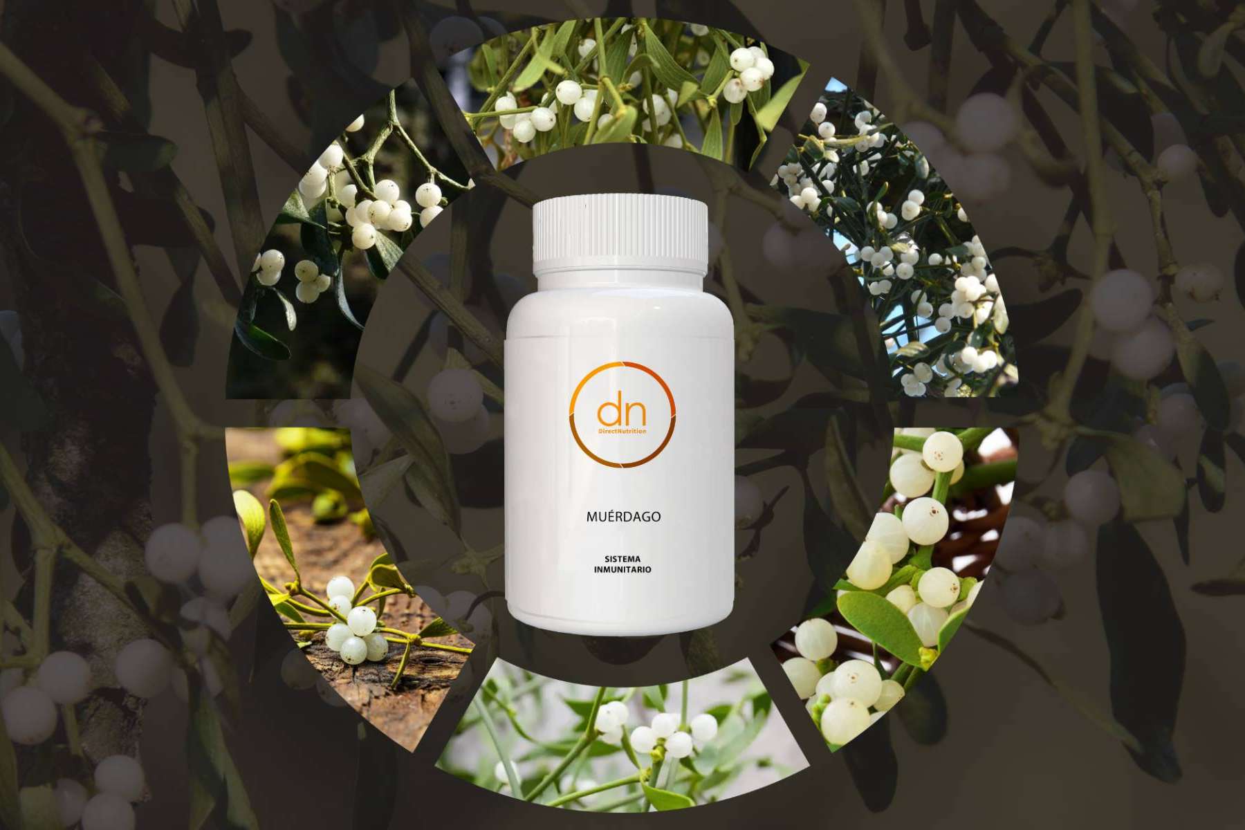 Muérdago, el nuevo complemento de Direct Nutrition con propiedades antioxidantes