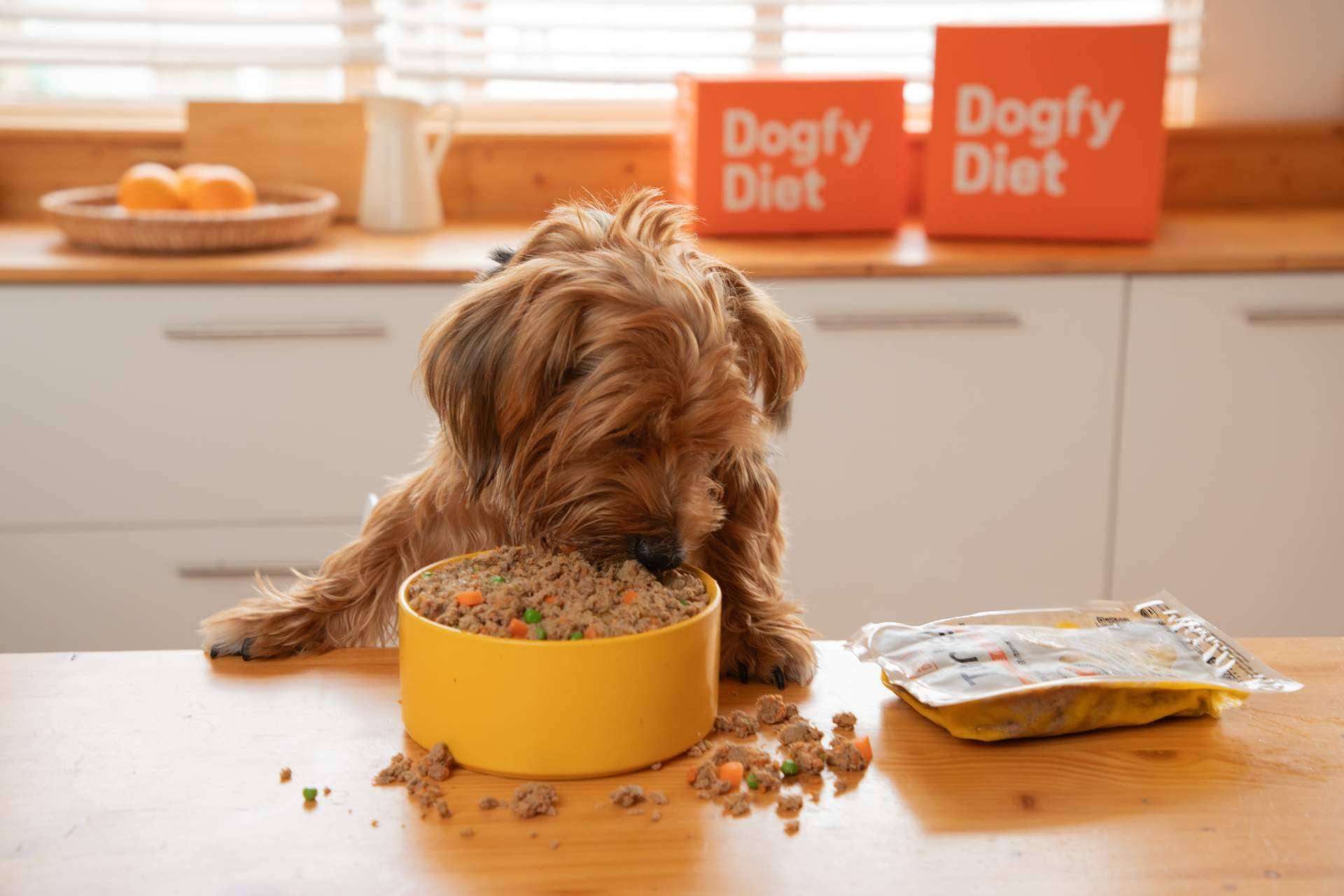 Dogfy Diet ofrece dietas frescas y equilibradas para perros, entregadas a domicilio