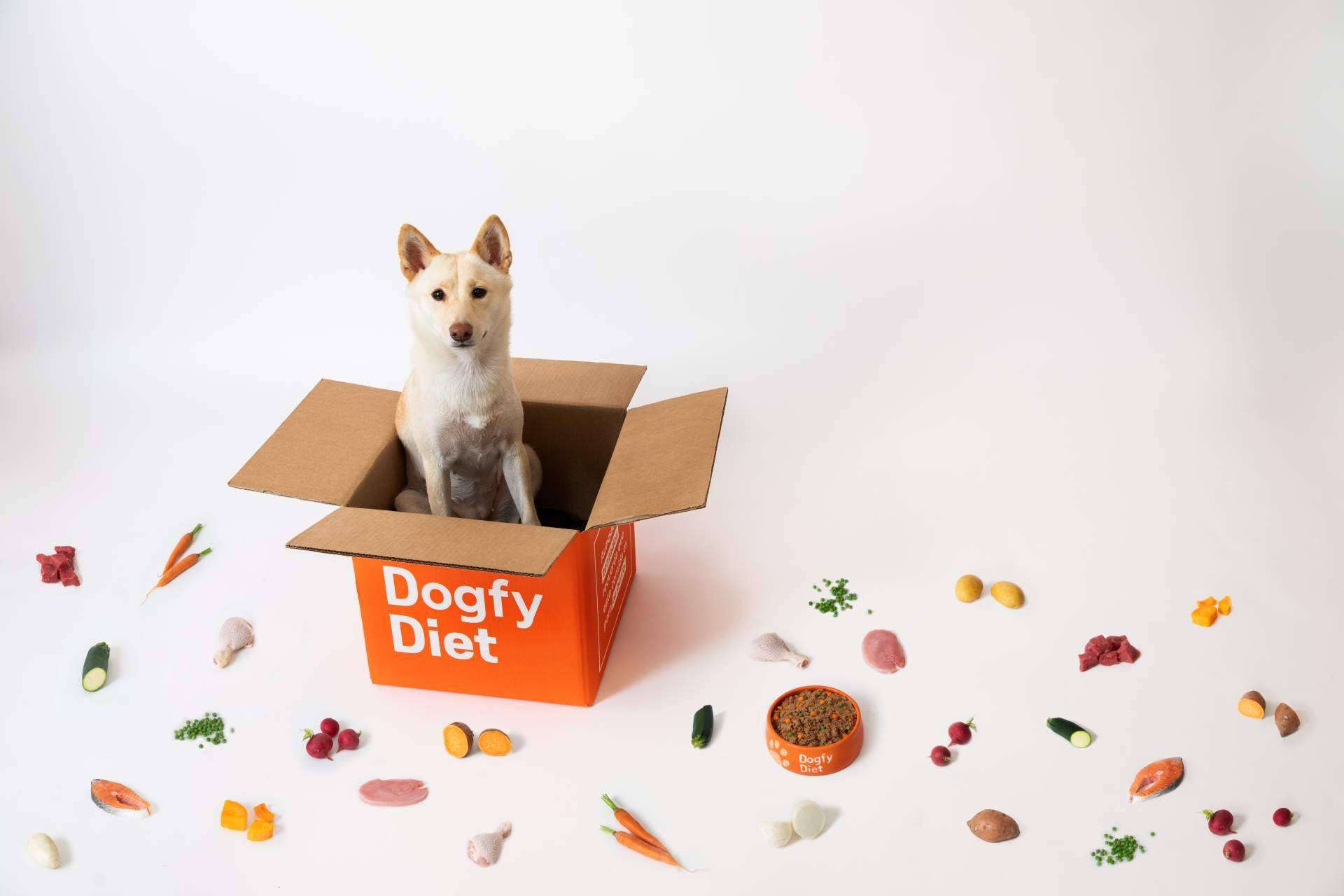 Dogfy Diet innova con una alimentación basada en ingredientes 100% naturales