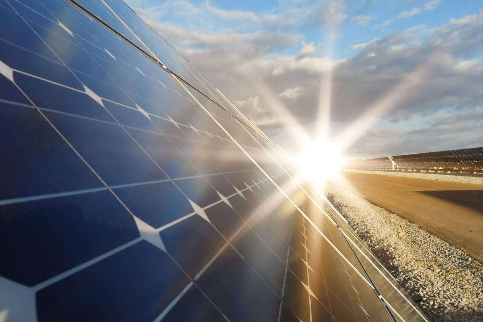 El compromiso de ECOticias.com con el medio ambiente, la sostenibilidad y la información ecológica