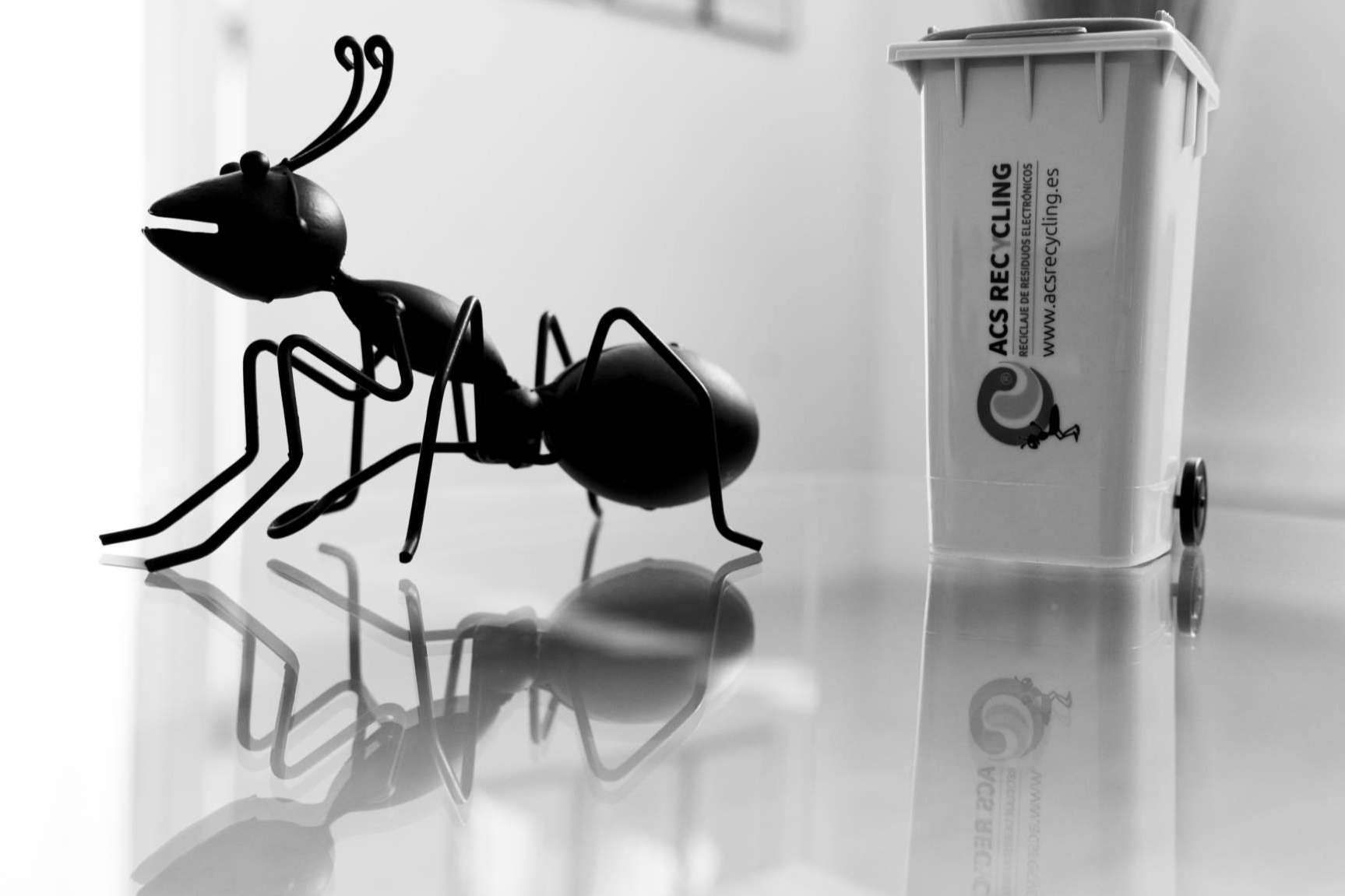 La gestión responsable de RAEE como clave para proteger la biodiversidad terrestre y mejorar la eficiencia energética