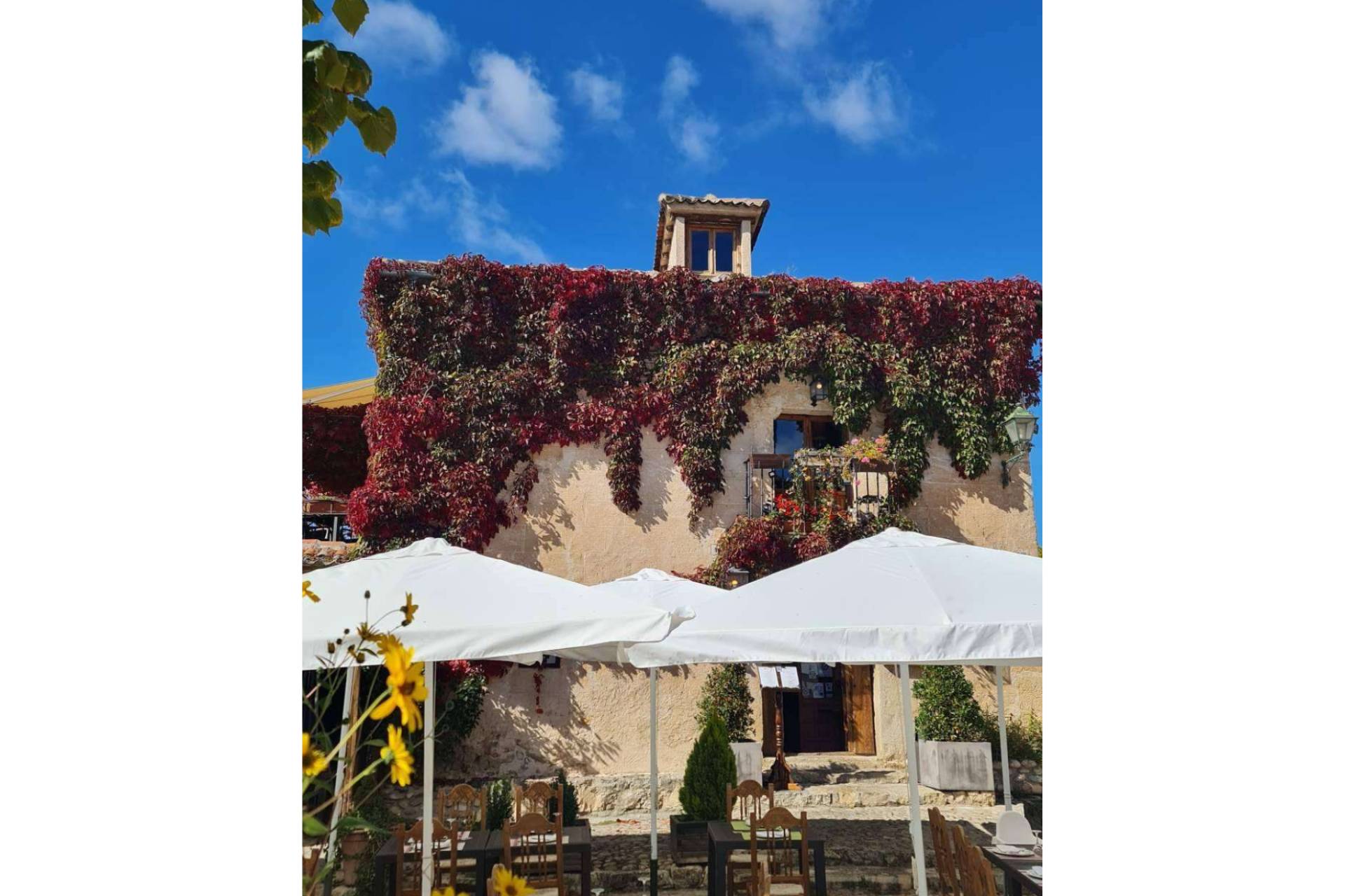 La unión de La Olma y El Refugio de Pedraza, gastronomía y hospedaje en una misma propuesta