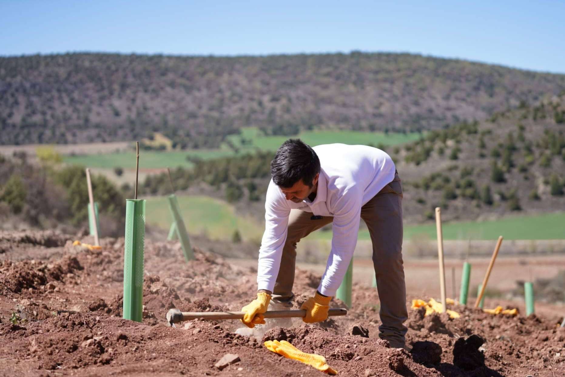 CO2 Gestión, especialistas en la plantación de bosques corporativos
