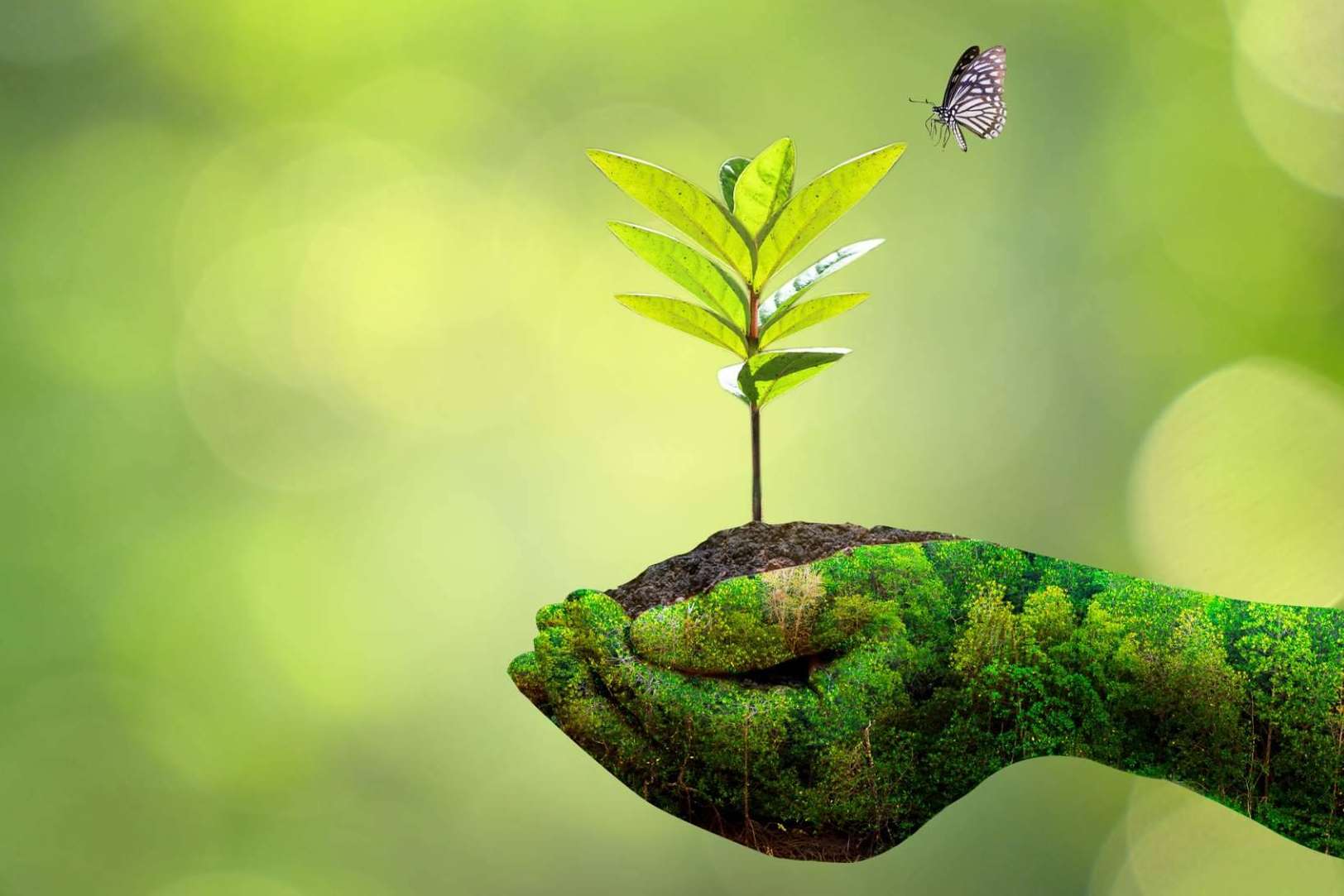 ECOticias.com alcanza millones de lectores mensuales en castellano e inglés con contenidos sobre medioambiente