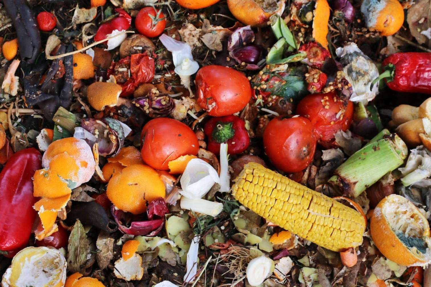 Claves para cumplir la Ley 1/2025 contra el desperdicio alimentario