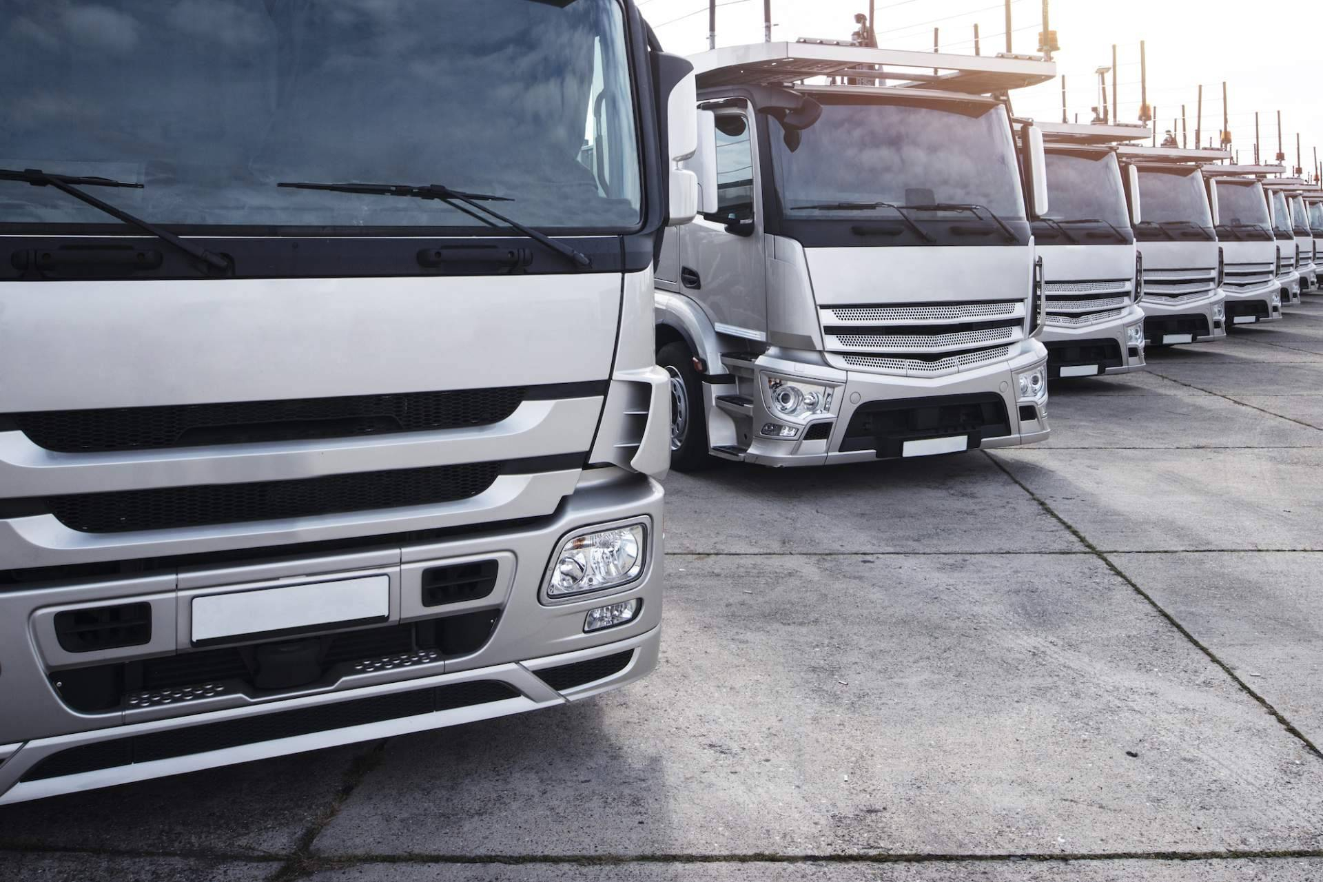 Easy Trans optimiza el transporte de mercancías por tierra con soluciones integrales