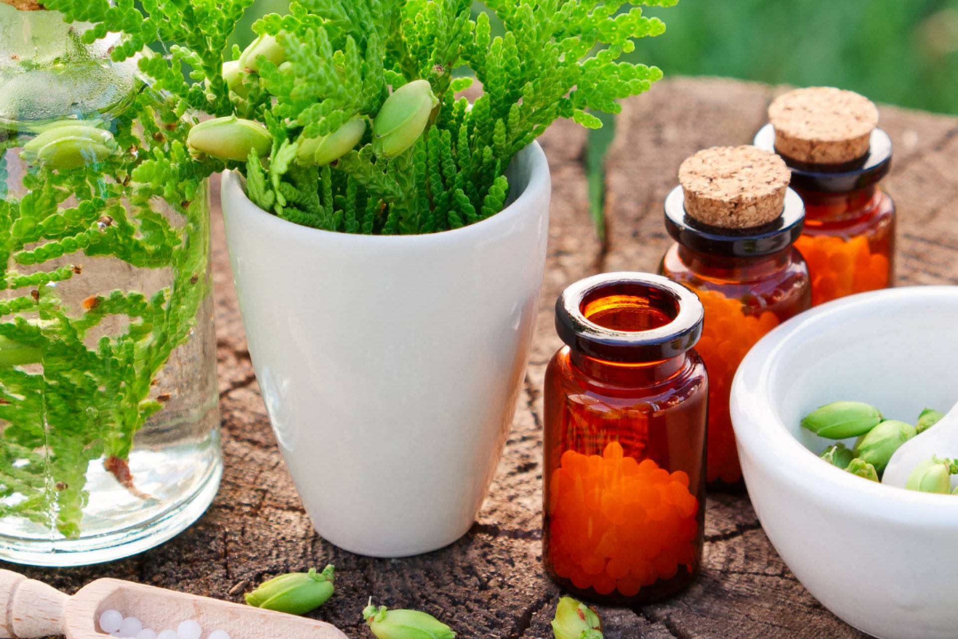 Curso de Naturopatía en ISED; modalidad presencial o homeclass en Pamplona, Madrid y Bilbao
